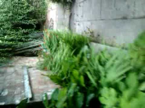 Emily and Juliet go large in St Florence (part 3) Emily and Juliet go large in St Florence (part 3)