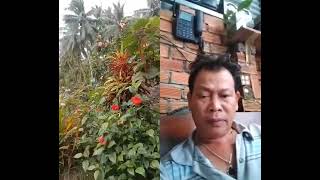 chào buổi sáng