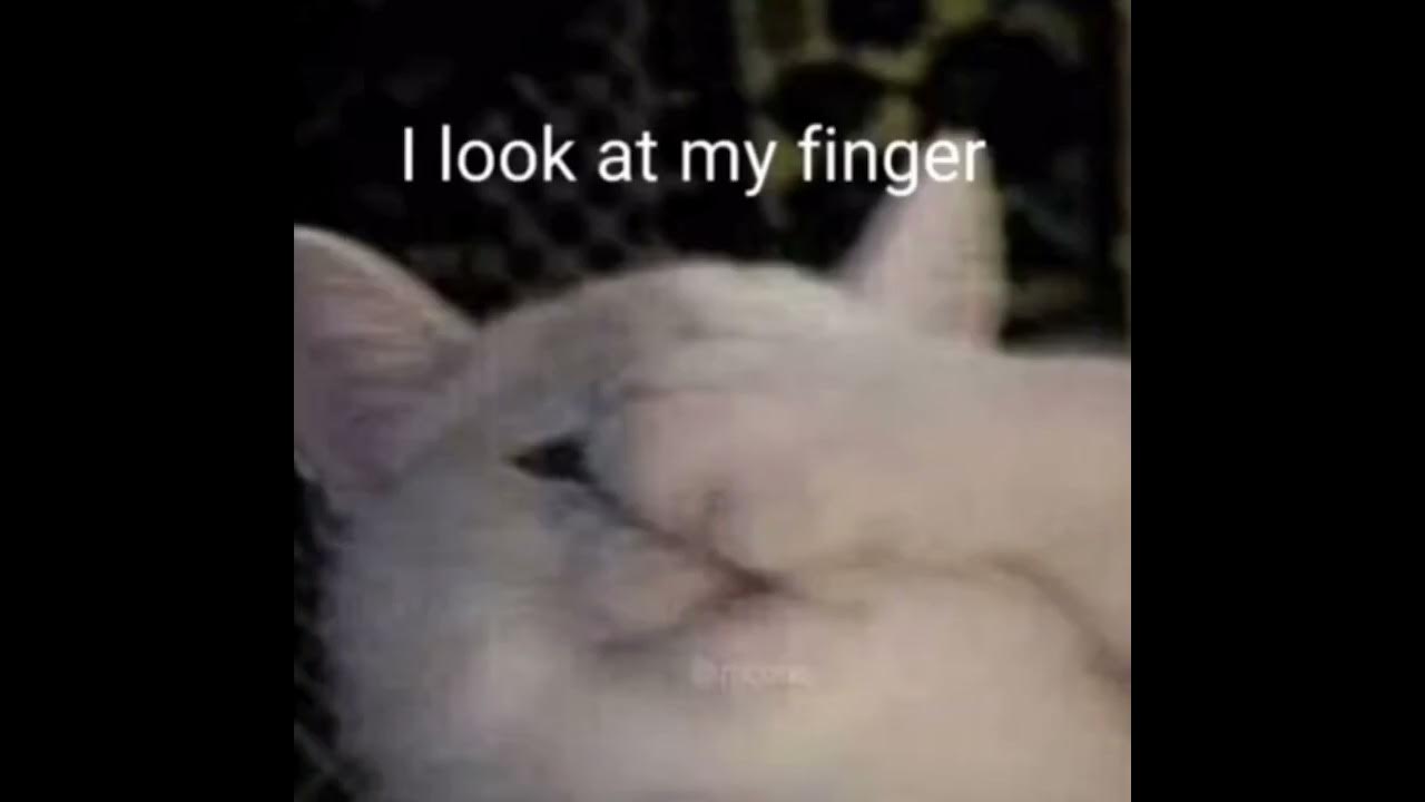 I swallowed shampoo, probably gonna die, smelled like fruit, that was a