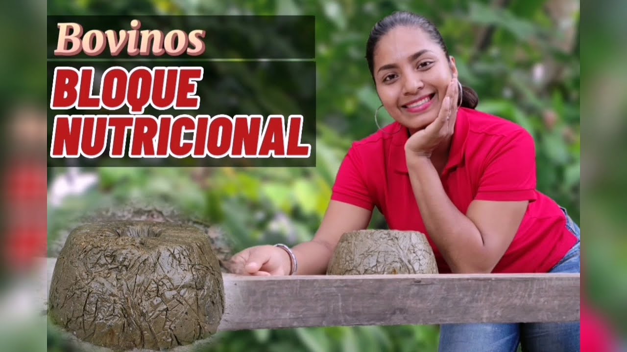 Bloque nutricional. Proteína, energía y minerales para tu Ganado de forma balanceada