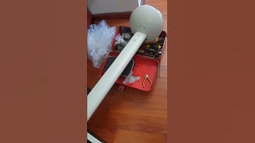 Seca 786 Column Scales