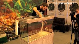 Biotope Aquarium Design Contest 2015 final was organized during ZooSphere 2015 pet fair in Sankt Petersburg in Russia. In this 