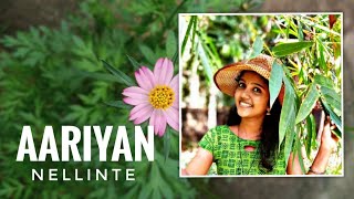 Aariyan Nellinte | Nadanpattu | Aiswarya Raveendran | Cover Song