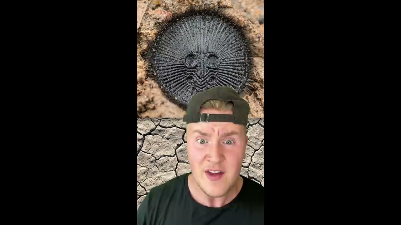 IF YOU SEE THIS ON THE GROUND DO NOT PICK IT UP 