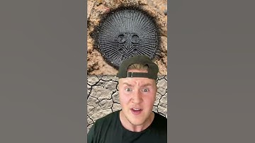 Thumbnail of IF YOU SEE THIS ON THE GROUND DO NOT PICK IT UP!!