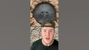 IF YOU SEE THIS ON THE GROUND DO NOT PICK IT UP 