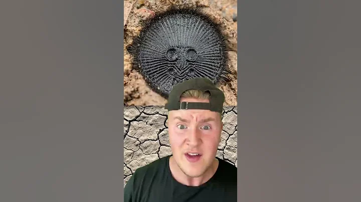 IF YOU SEE THIS ON THE GROUND DO NOT PICK IT UP!!