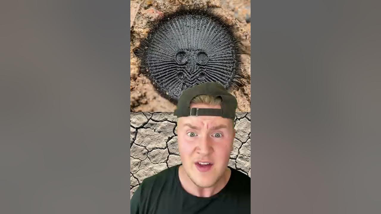 IF YOU SEE THIS ON THE GROUND DO NOT PICK IT UP!!