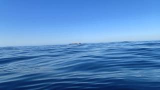 Bass Strait Solo Hogan Island