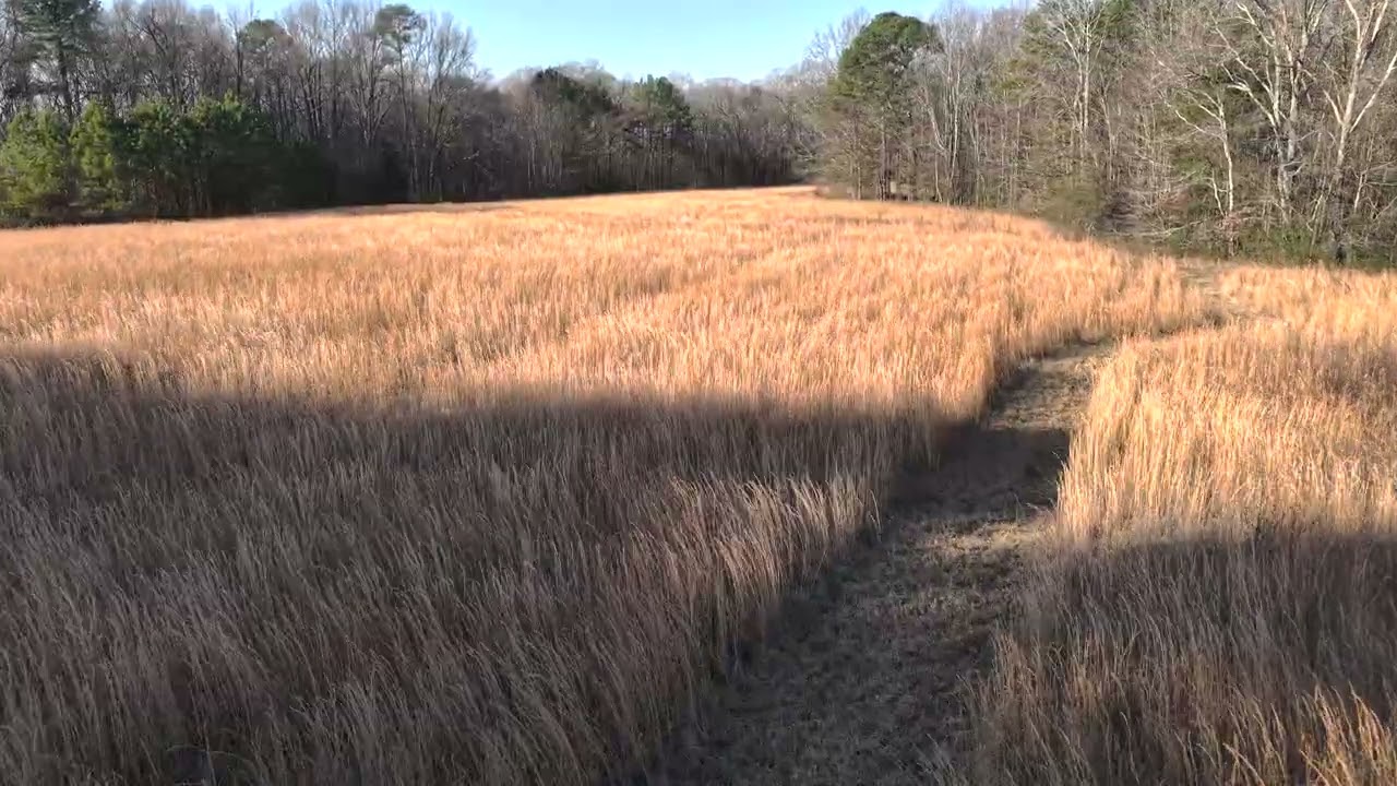 Weekend Retreat video 1