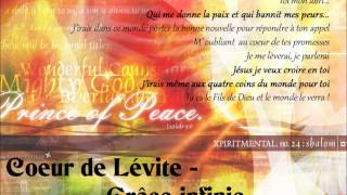 Video thumbnail of "Grâce infinie - Coeur de Lévite.wmv"