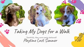 Playtime with my dogs | Eli Tv