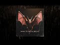 [FREE] Jhayco X Bad Bunny Type Beat 2024 - Nocturna