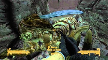 Fallout New Vegas - Giant Ant Queen