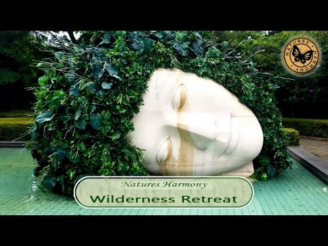 Rick Rhodes — Nature´s Harmony - Wilderness Retreat