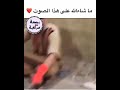 يقرأ سورة يوسف مثل مقدمة المسلسل