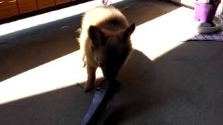 Monty 20150813 #2