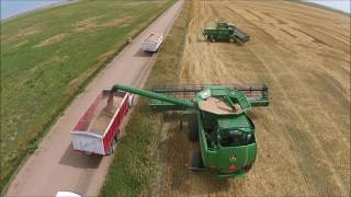 Kansas Wheat Harvest 2016