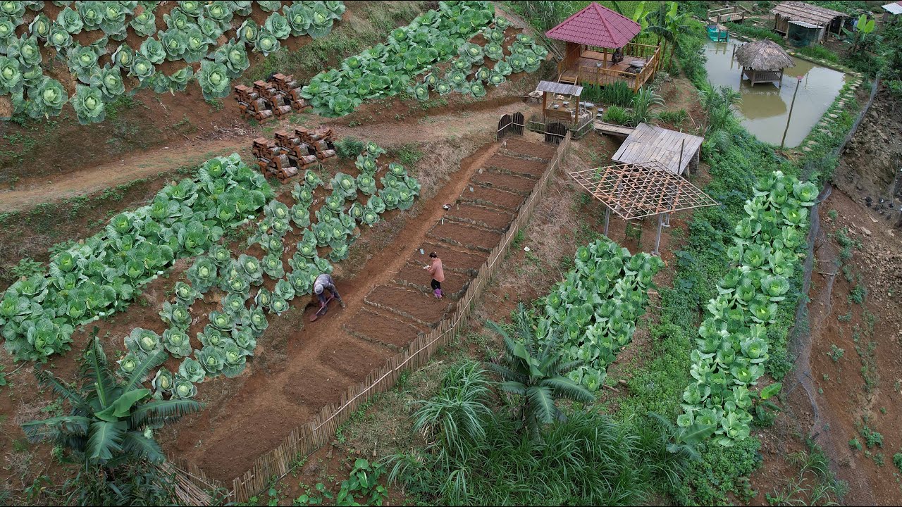 GIRUVI 「Grow on the Wall」Gracilius GIRUVI 「Grow on the Wall」Gracilius Natural Vertical Green