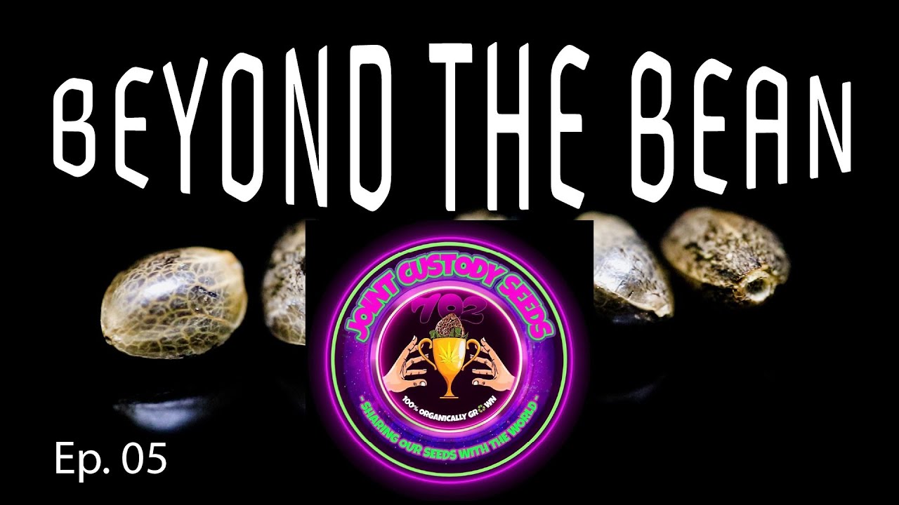 Joint Custody Seeds - Beyond the Bean Ep. 05