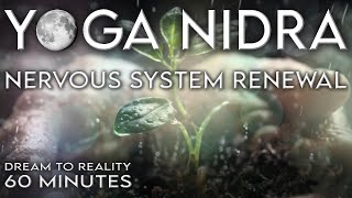 Yoga Nidra for Inner Growth, Renewal, and Empowerment | Rain Sounds | One Hour