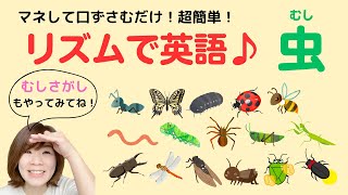 【リズムでEnglish♪】いろいろな「虫」を英語で言ってみよう！むしのかくれんぼもあるよ！