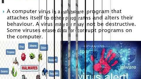 BASIC ICT SKILLS - EMPLOYABILITY SKILLS INFORMATION TECHNOLOGY X MS KARUNA SHARMA