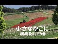 小さなかごに花を入れ。讃美歌Ⅱ 26
