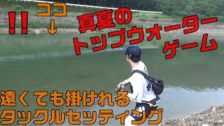 【トップウォーター】夏のバスをエバーグリーン・シャワーブローズとレイドジャパン・ダッジで攻略【バス釣り男】