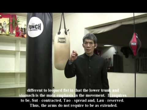 Master Chen Yong Fa teaching DVD series.Hand Fist ...