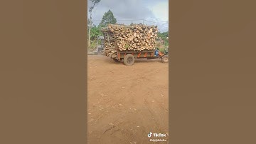 công nông hai câu chở gỗ siêu khỏe