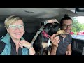 Beginning of video