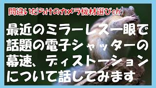 間違いだらけのカメラ機材選びch 「最近のミラーレス一眼で話題の電子シャッターの幕速、ディストーションについて話してみます」