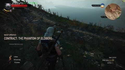 Wicher Contract:Phantom of Eldberg