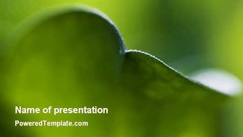Leaf PowerPoint Template by PoweredTemplate.com