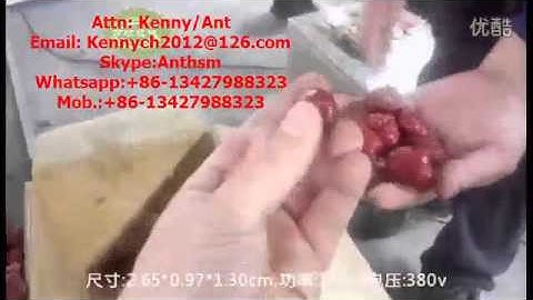 QH- N500H dates,olive pitting stoning coring cutting machine, pitter cutter