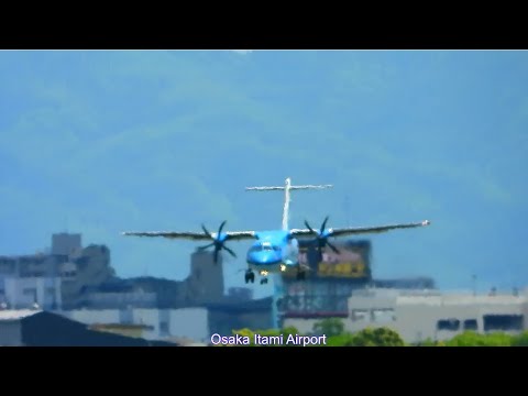 天草エアライン・みぞか号生中継!伊丹空港!! Plane Spotting Osaka Itami Airport 07/29/2025