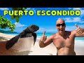 BEST beaches in Puerto Escondido (2021) / Sea TURTLE release in Puerto Escondido! / MEXICO beaches