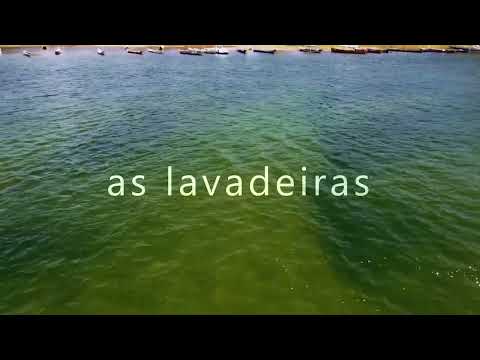 As Lavadeiras - Um filme de Vera Rocha - Teaser