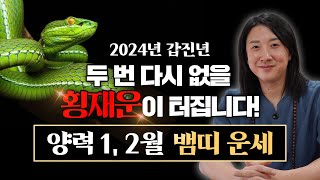 2024년 갑진년 양력 1, 2월 뱀띠 운세 / 두 번 다시 없을 최고의…