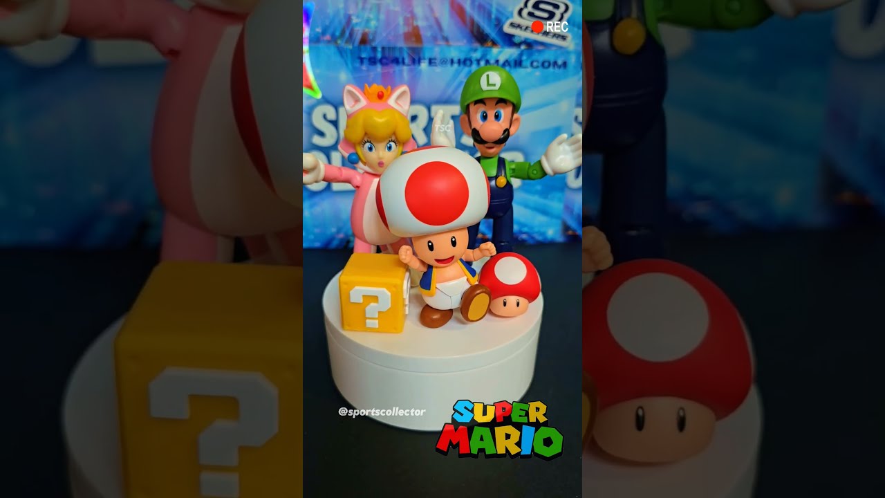 Super Mario Bros Toys
