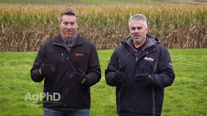 Zinc #970 (Air Date 11-06-16)