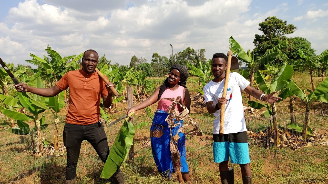 Huge surprise to my parents/ Evening routine!
