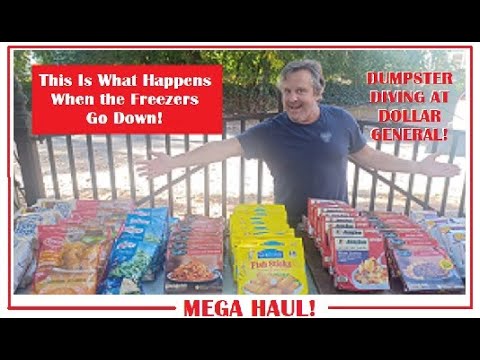 This Is What Happens When the Freezer Goes Down at Dollar General! UnReal Mega Haul!