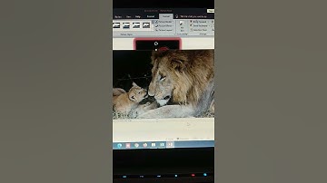 insert picture online in PowerPoint? #shorts