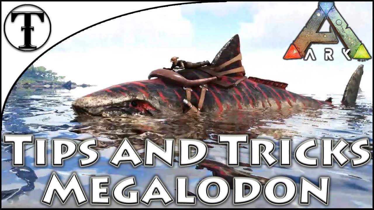 Fast Megalodon Taming Guide :: Ark : Survival Evolved Tips And Tricks