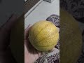 MUSKMELON (KHARBOOJA)KE NUTRITIONAL BENIFITS KYA HAI#fruit #juicy