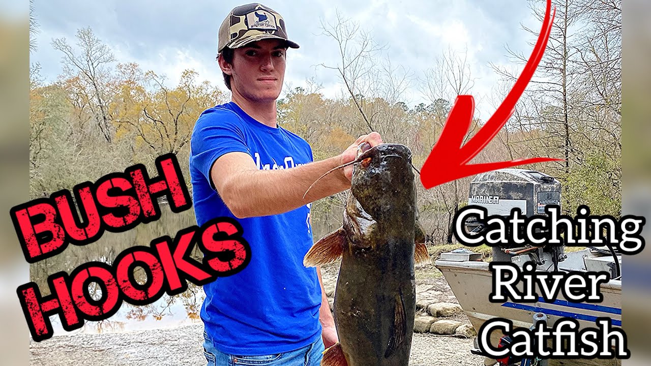 Fishing For Catfish Using Bush Hooks! 