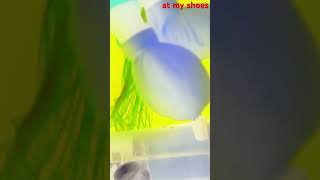  photo negatives 