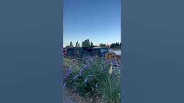 A Rainbow Consist of a CSX, CP, and BNSF Railway Locomotives Idle at Seattle Interbay Hump Yard